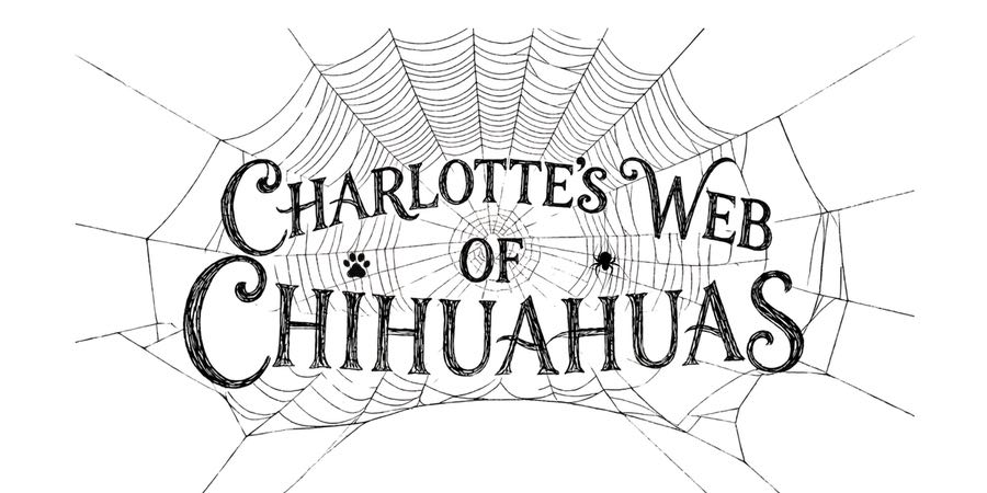 Vis Aurum Illarion AKA Goscha, a Russian Lilac & White at Charlotte's Web of Chihuahuas