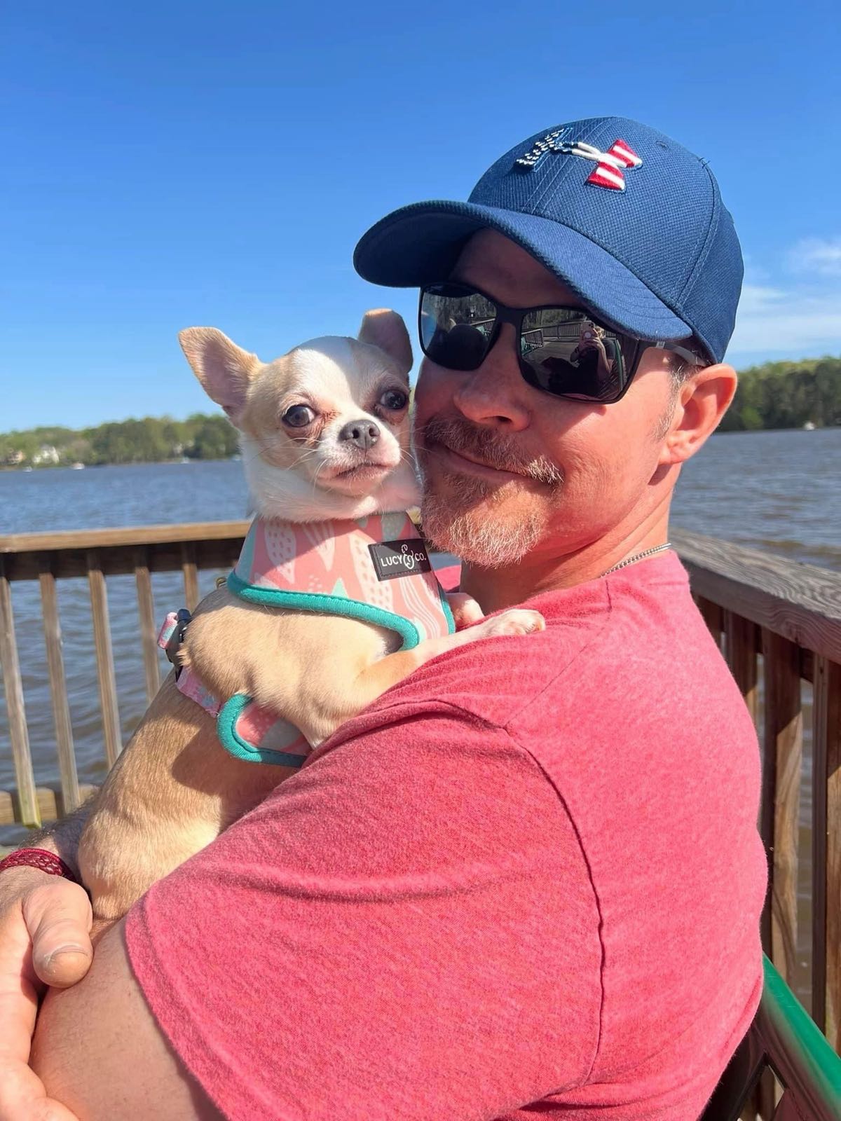 Charlotte's Web Chihuahua in their new home