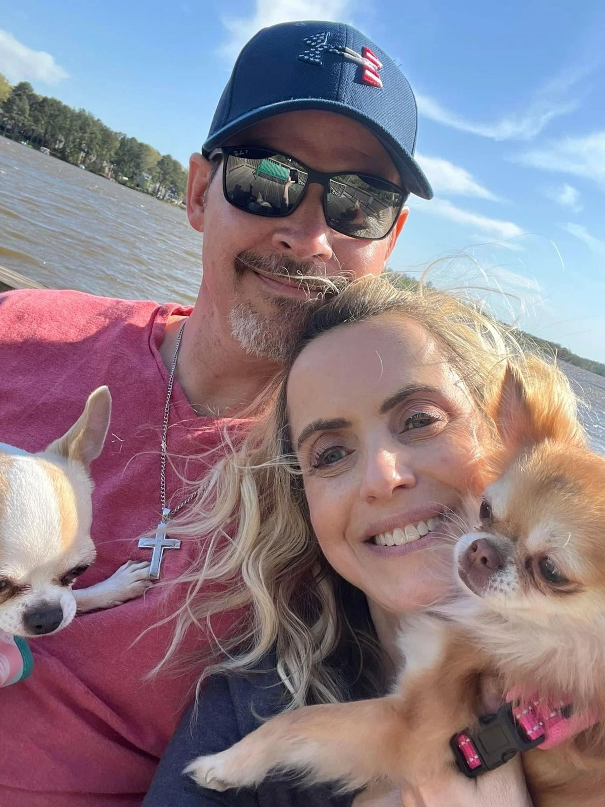 Charlotte's Web Chihuahua in their new home